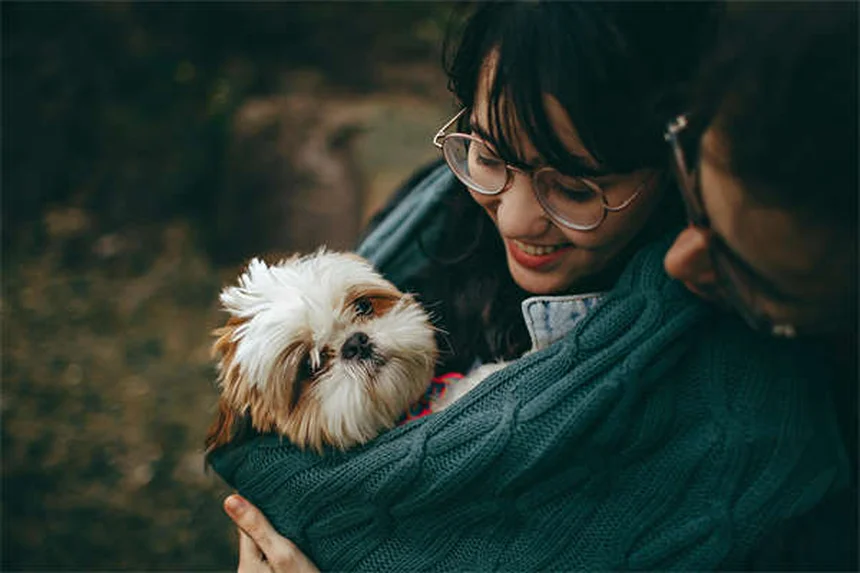 犬の医療大麻、知っておくべき現状とリスクまとめ